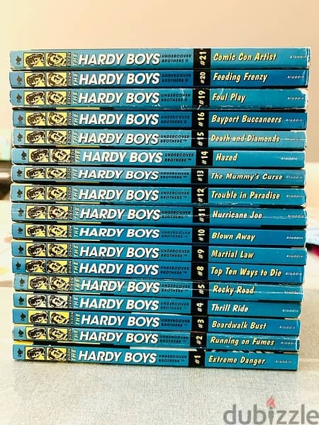 Hardy Boys books 0