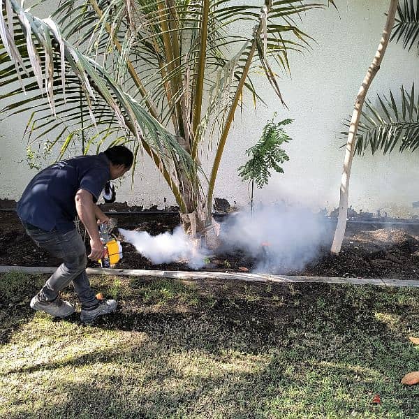 PEST CONTROL - BEST SERVICE IN MUSCAT 3