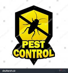 General pest control services and house cleaning