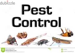 Quality pest control services