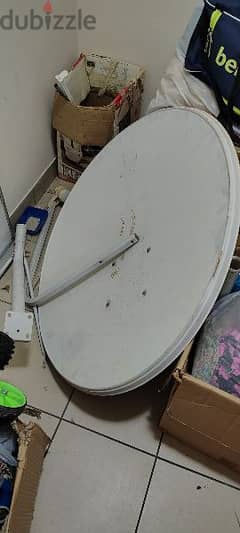 dish