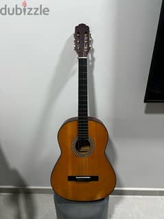 Brian leonard classical guitar