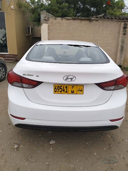 Hyundai Elantra 2015 10