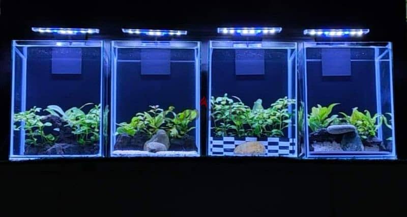 small aquarium tanks availae 15*15*20 cm Whatsapp me 95286803 0