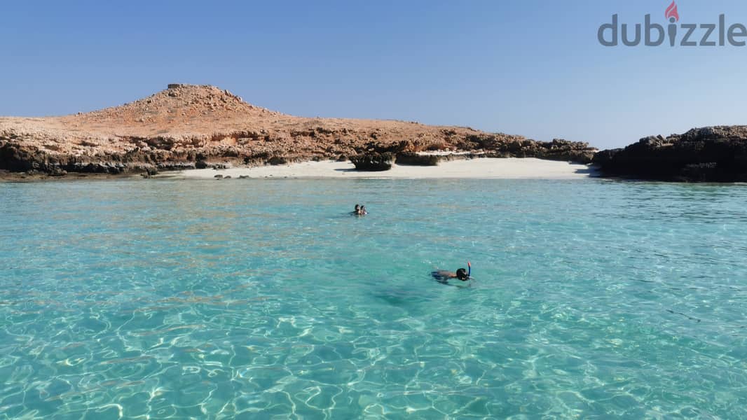 Snorkeling at dimaniyat 17