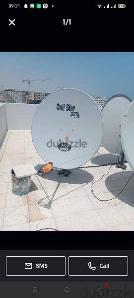 dish