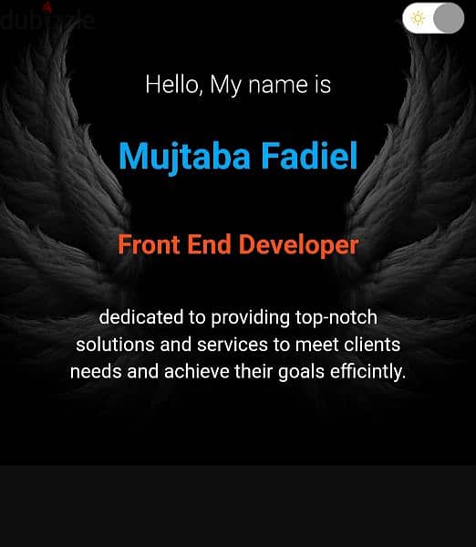 Front end developer 0