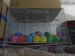 big size cage for bird. and thermocol ice box