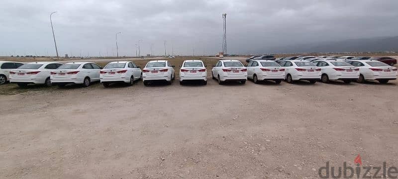 cars for rent 6