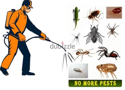 pest control service and house cleaning