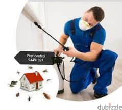 treatment's  94491391 All kind of pest control service's