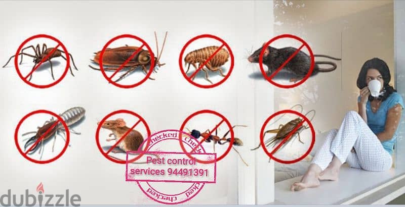 treatment's  94491391 All kind of pest control service's 2