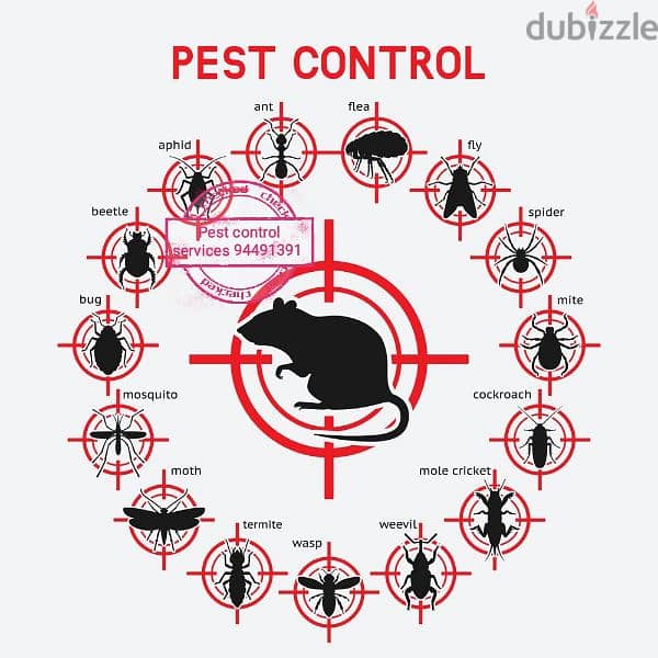 treatment's  94491391 All kind of pest control service's 3