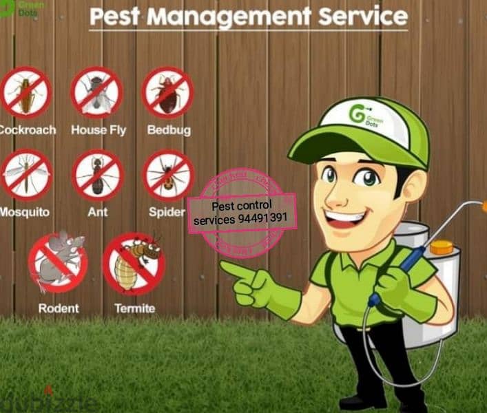 treatment's  94491391 All kind of pest control service's 5