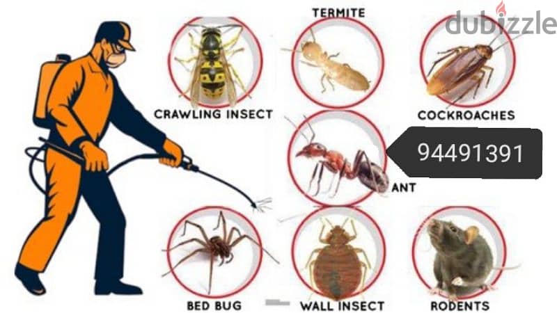 treatment's  94491391 All kind of pest control service's 8