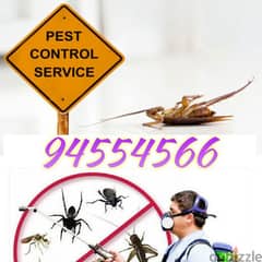 General pest control service