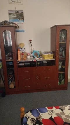 Wall Cabinet for Sale