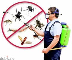 Pest Control Service and General Cleaning Service