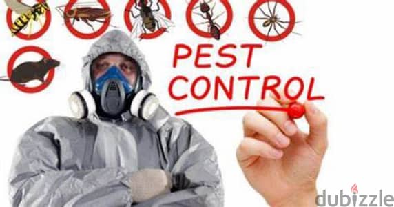 Quality Pest Control Service