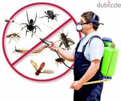 Pest control service and house cleaning