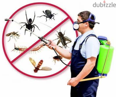 Pest control service and house cleaning