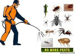 Quality pest control service and general cleaning