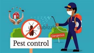 Quality Pest Control Service with Guaranteed