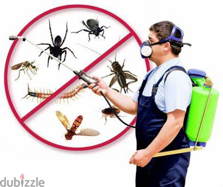 pest control service and house cleaning 0