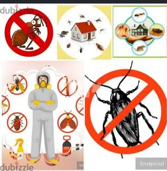 real pest control & Cleaning 1