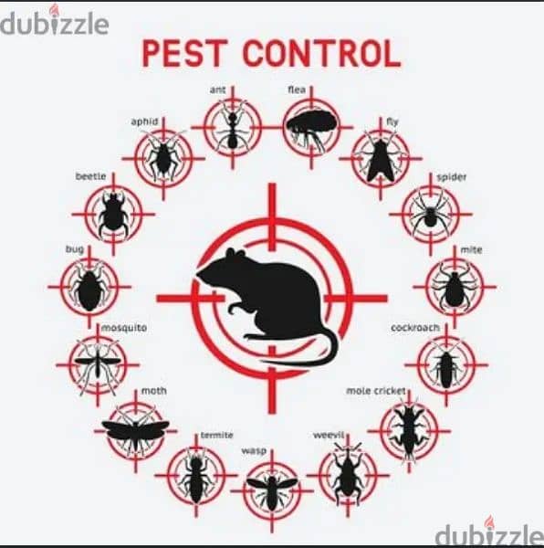 real pest control & Cleaning 2