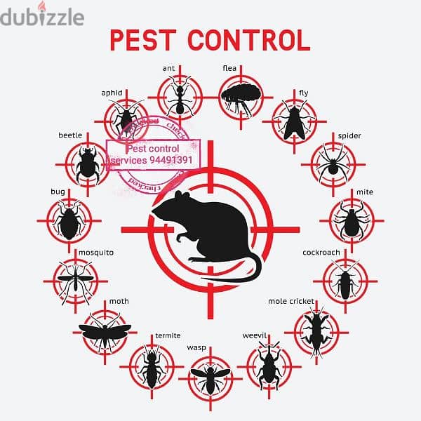 we provide you the best pest control service's. 94491391 3