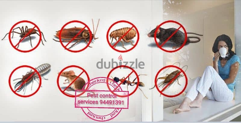 we provide you the best pest control service's. 94491391 4