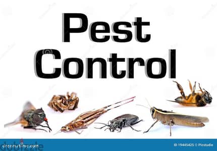 General Pest Control Service and House Cleaning Service