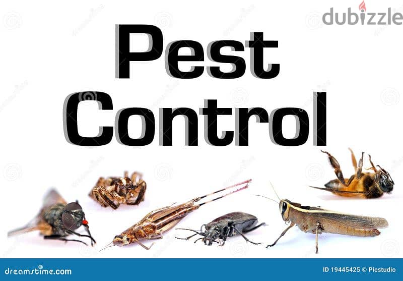 General pest control service 0