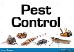 General Pest Control Service and House Cleaning Service