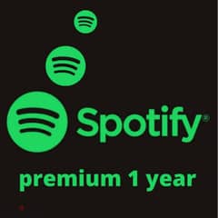 1-Year Spotify Premium Available On Your Email +923216342325