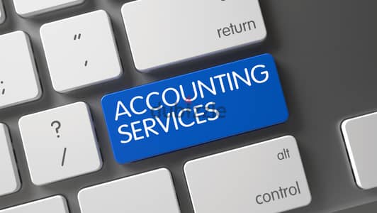 Professional Accounting & Auditing Services