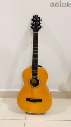 Greg Bennett Acoustic Guitar With Cover Case