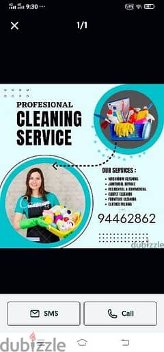 professional cleaner