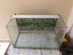 Fish tank with all equipment