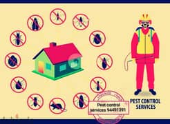 pest control treatment's