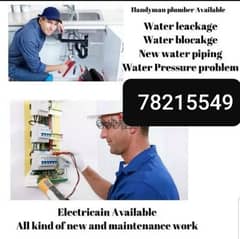 pulamber and electration available service works