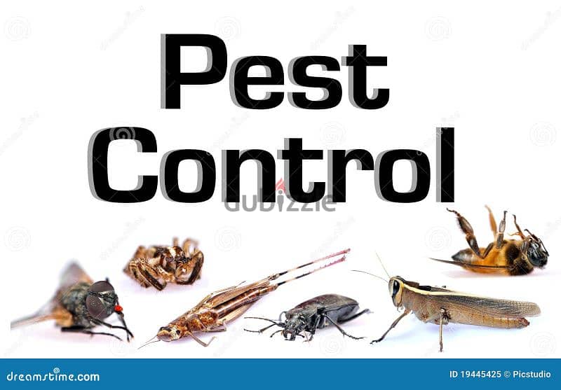 Pest control, Marble polishing, Cleaning, fumigation, anti termite 0