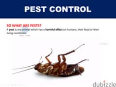 Pest Control Service with Guarantee