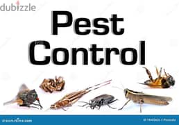 General pest control service