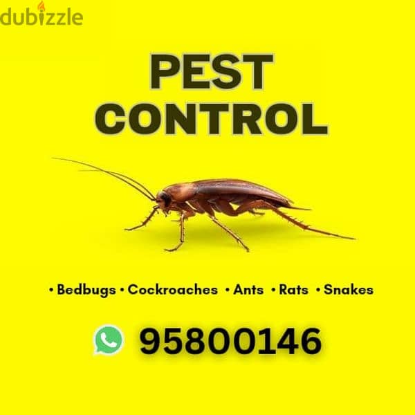 Pest Control and Cleaning Services, Bedbugs Cockroaches Rats Ants 0