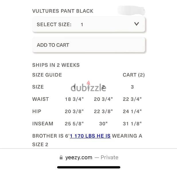 Yeezy Vultures Pants 10