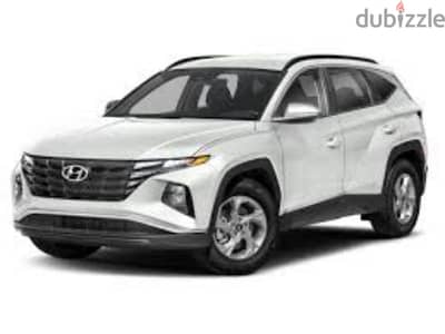 Hyundai Tucson (2023) daily weekly and monthly basis