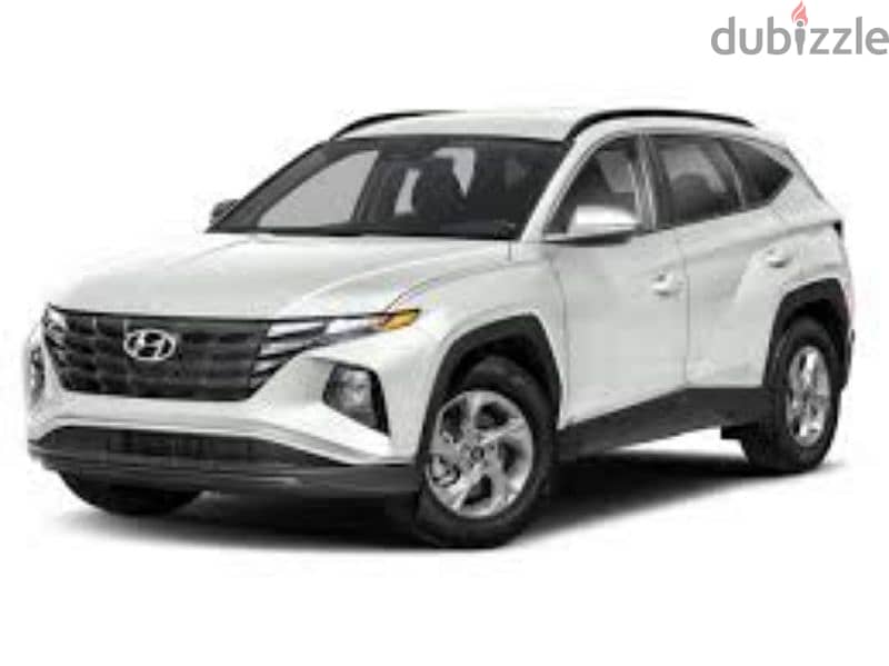 Hyundai Tucson (2023) daily weekly and monthly basis 0