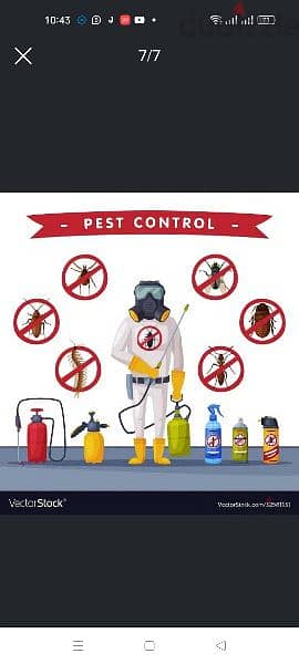 Cleaning and Pest control 6